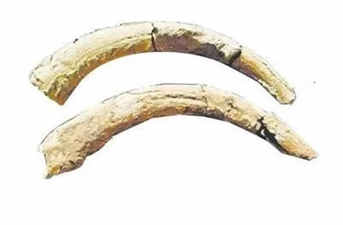 3����ǰ������������ͻ�����Ұ��ţ