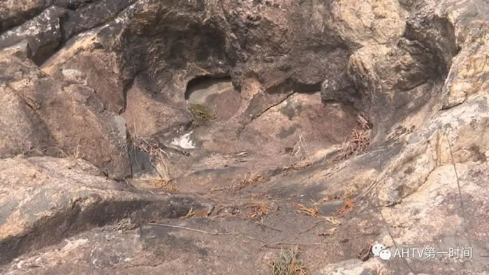 �����ﰮ�����ڰ�����Զ��Ϳɽ�Ϸ��֡�������ӡ����ר�Ҽ������ʾ����