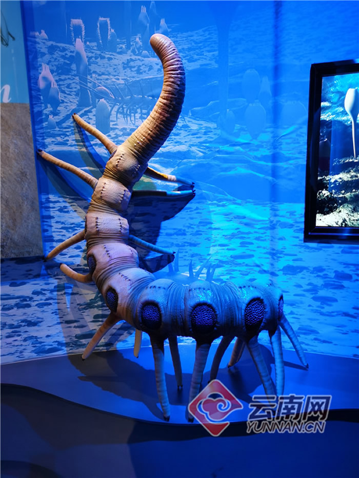 ̽�ء����缶��ʯ���⡱�����ν���ʯ����Ȼ�����