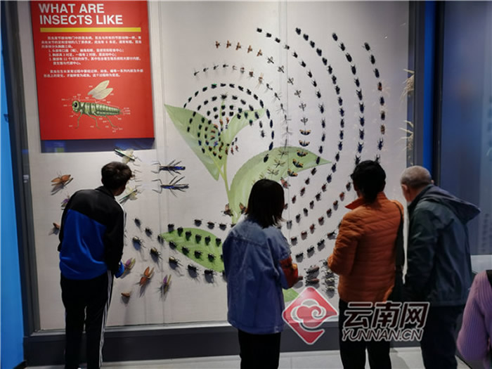 ̽�ء����缶��ʯ���⡱�����ν���ʯ����Ȼ�����