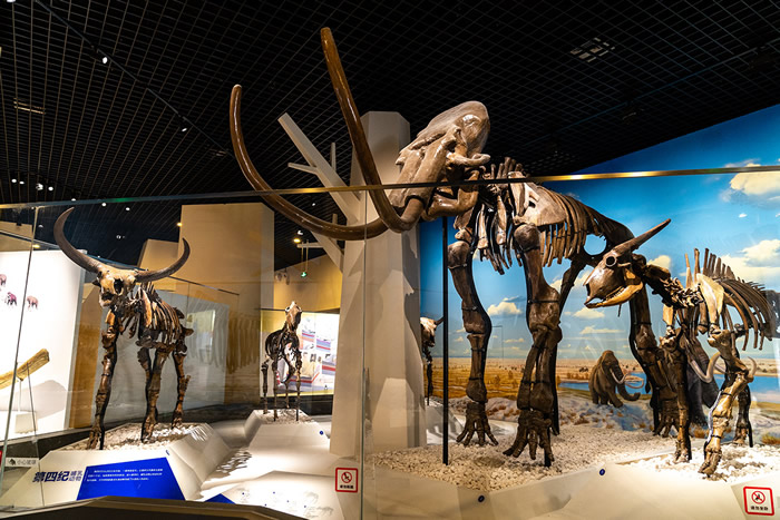 �Ƽ��ձ���������Ȼ����ݼ��ء�����Ϊ����