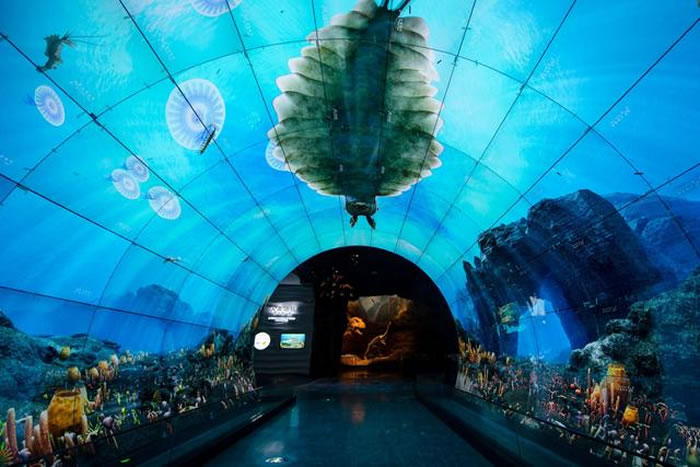 �߽����ϳν���ʯ����Ȼ����� ̽��5�ڶ���ǰ����������󱬷�