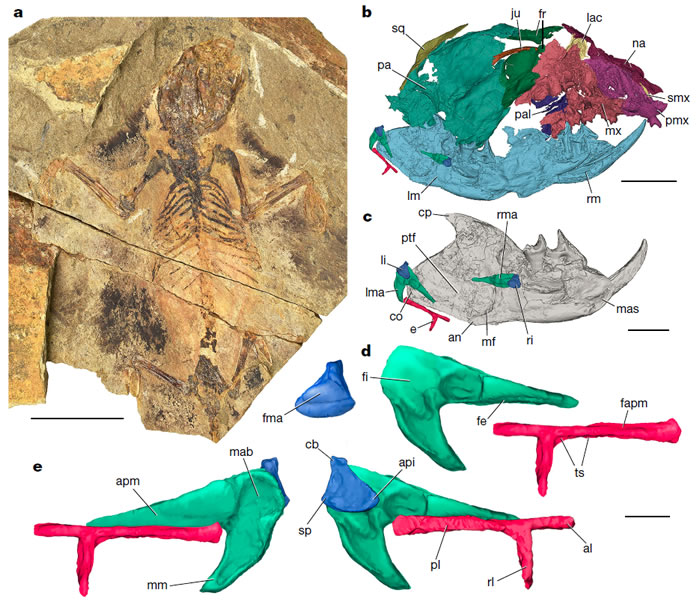 �ӱ�ʡ����������٪������������Ⱥ�������໯ʯ�ƽⲸ�鶯�������ݻ�����