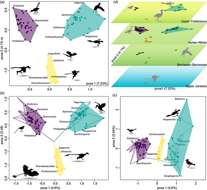 ������������̬�ռ䣨��ɢ�������ֲ� ������ ��ͼ��