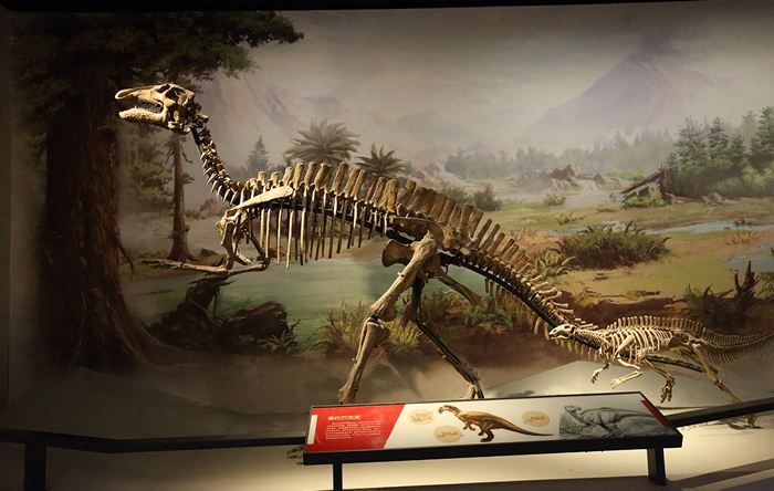 ���ɹ���Ȼ����ݡ������Ĺ��硱չ��