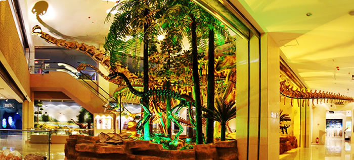 ����������θ�����ʲ����