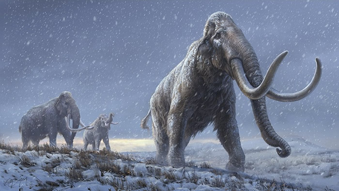 西伯利亚永久冻土中超过百万年的猛犸象化石保存了有史以来最古老的DNA