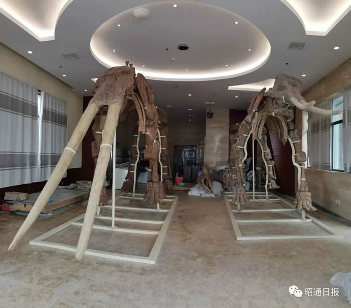 ���߽�����Ǽ�����ͨ���Ļ������ξ֡��������Ļ������ξ���֯רҵ�ŶӶ�������ˮ���ӳ����Ĺ���ʯʵʩװ�ܡ�