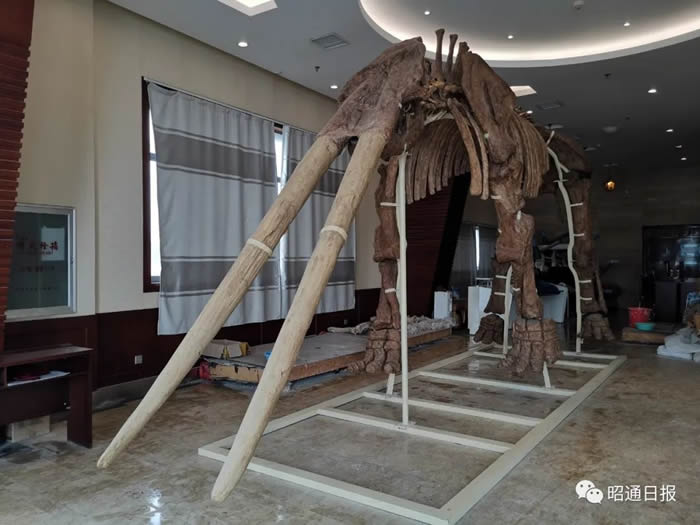 �¸�ԭ�����Խ�����Ǽ�