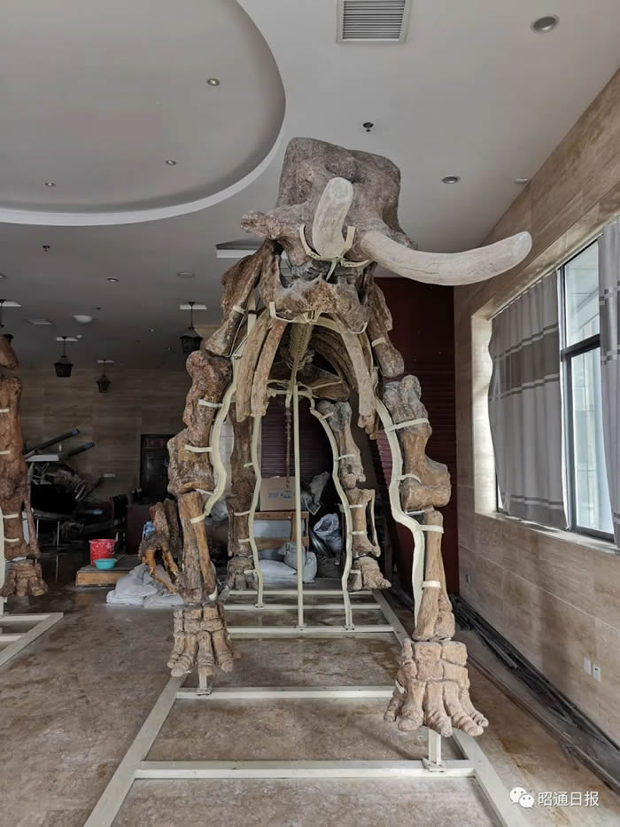 �¸�ԭ�Ĵ��Խ�����Ǽ�