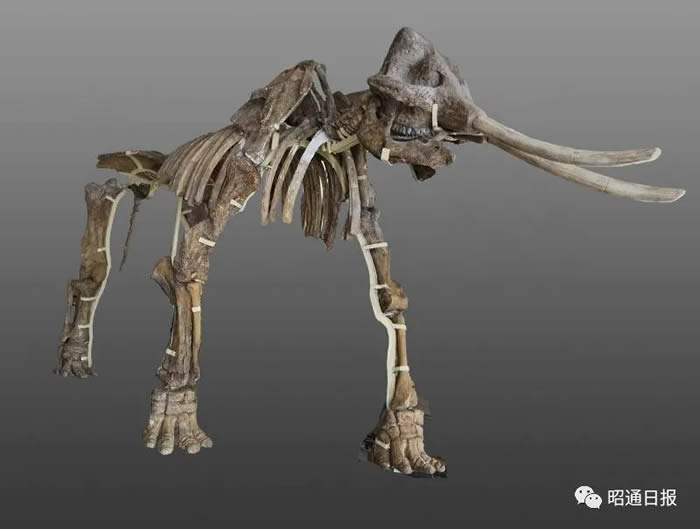 ���Խ�����Ǽܸ�3.4�ף��峤6.5�ף��ų���������1.28�ס�