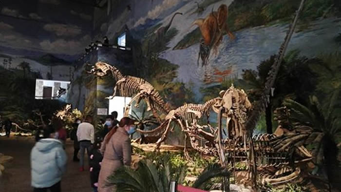 �Թ����������--����٪�޼�֮ţ���