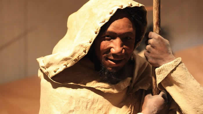 ���о�����һЩ�����Ŵ����ᰲ�����˻�����˻�������COVID-19�ķ��ս���22%