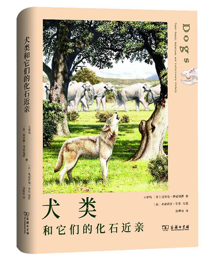 ����������Ȯ������ǵĻ�ʯ���ס�������ӡ��ݳ��淢��