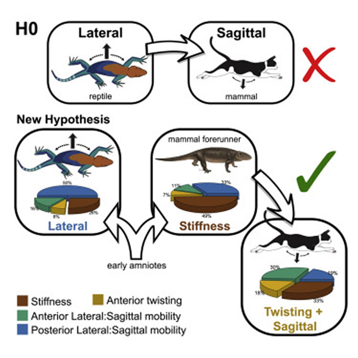 �о��������鶯����������Ȳ������ѧ��֮ǰ�Ʋ��������������˶�