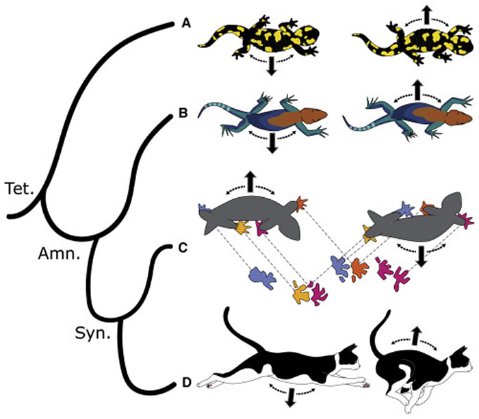 �о��������鶯����������Ȳ������ѧ��֮ǰ�Ʋ��������������˶�