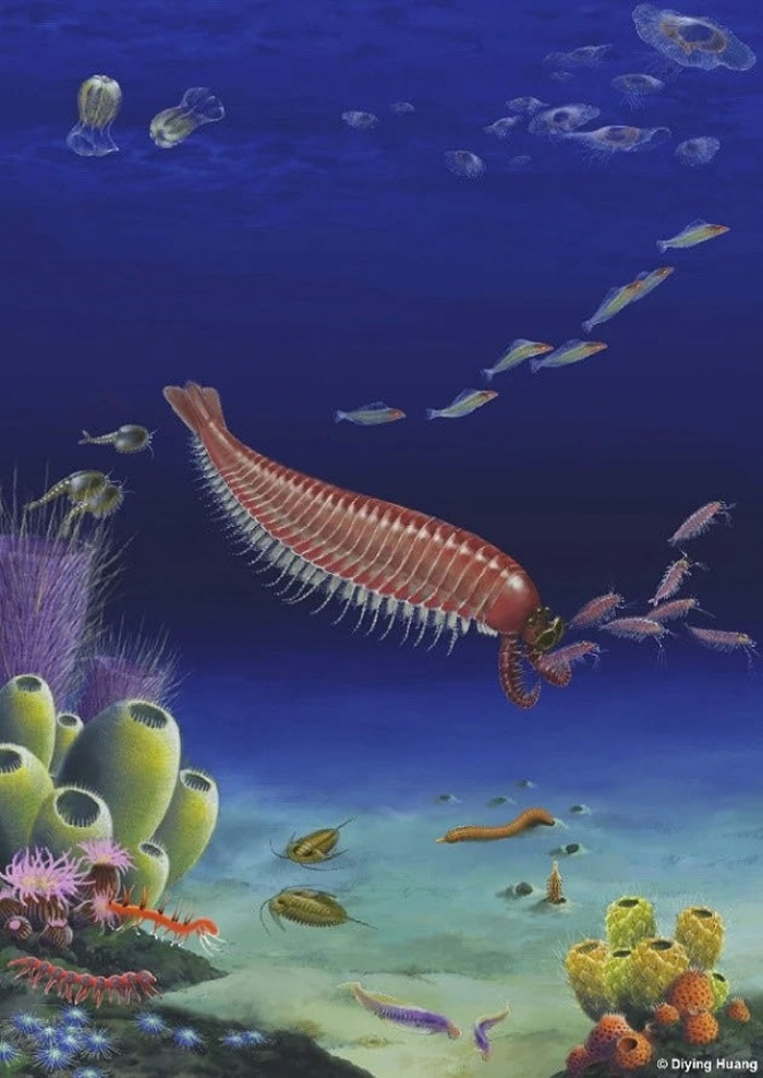 �Ͼ��������������о��ɹ���ѡ�й�����ѧ��2020��ȡ�ʮ����ʿƼ���չ��