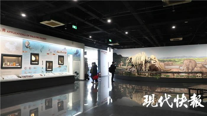 �Ͼ������ﲩ��ݡ���������Ⱥ��չ���еĴ�Ϭ��ʯ