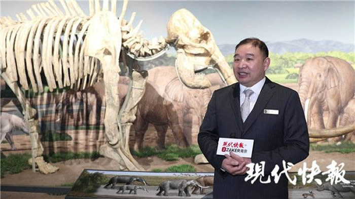 �Ͼ������ﲩ��ݡ���������Ⱥ��չ���еĴ�Ϭ��ʯ