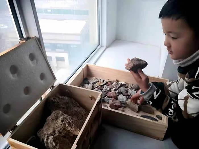 登封6岁男童找到3亿年前轮叶羊齿属植物化石