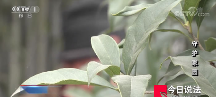 ���ӡ�����˵�����й�����֮�磬���ǹ�ͬ�ػ���