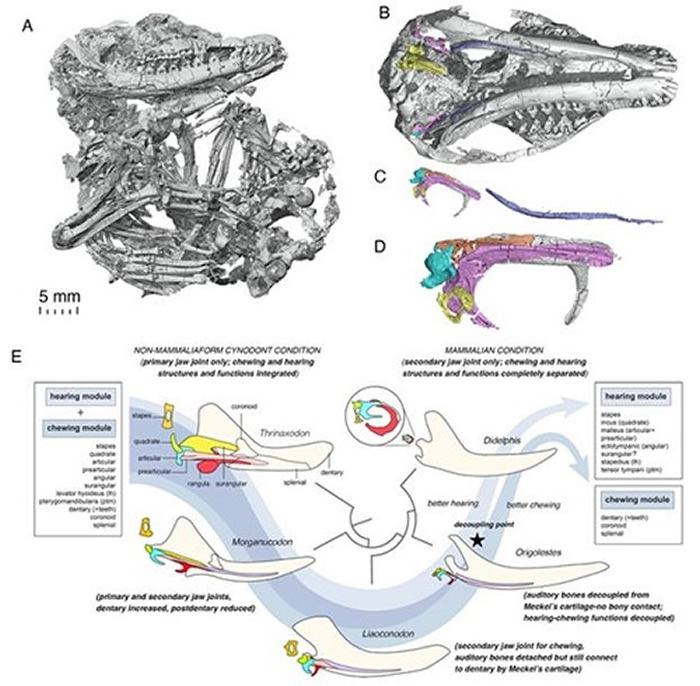 ����Դ�������ͱ걾�������;׽�����ģ��ʽ�����ݻ�ʾ��ͼ��ë��԰ ��ͼ��