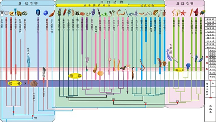 ���ڷ�����Ϣ�͹�����ѧ֤�ݵ���Ļʽ����ʹ󱬷���˵����¸ɡ����� ��ͼ��