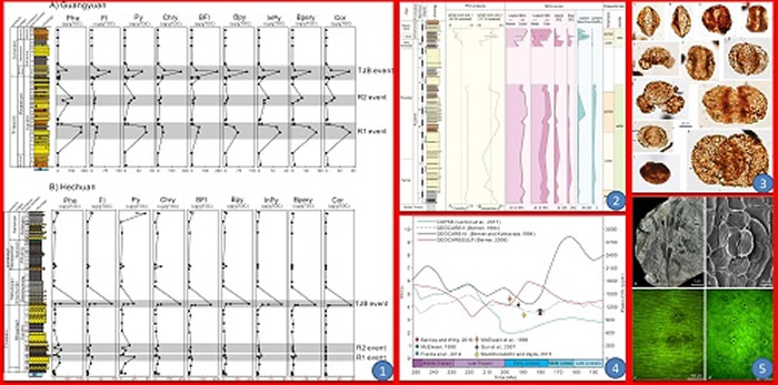 �������͡�٪�޼�֮������仯��ɭ�ֻ����¼��������й����ϵĻ�ʯ֤�ݡ�