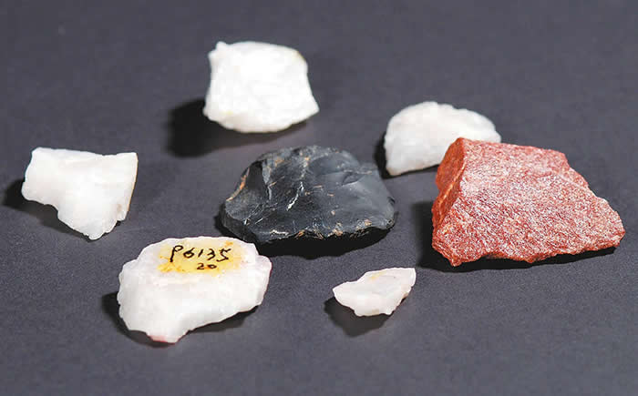 ��֯������̽Ѱ�������ż�