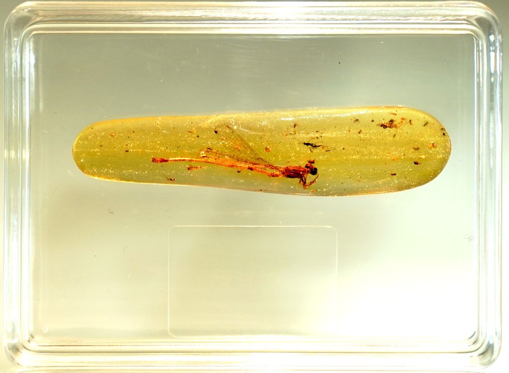 ��22���Ϻ����ﻯʯչ���Ϻ������ǿ�Ļ