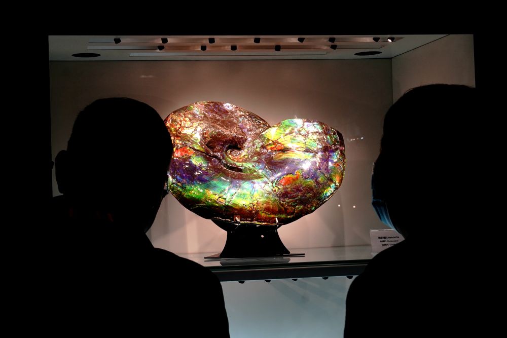 ��22���Ϻ����ﻯʯչ���Ϻ������ǿ�Ļ