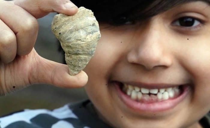 英国6岁男孩在家中后花园意外发现4.88亿年前的“角珊瑚”化石