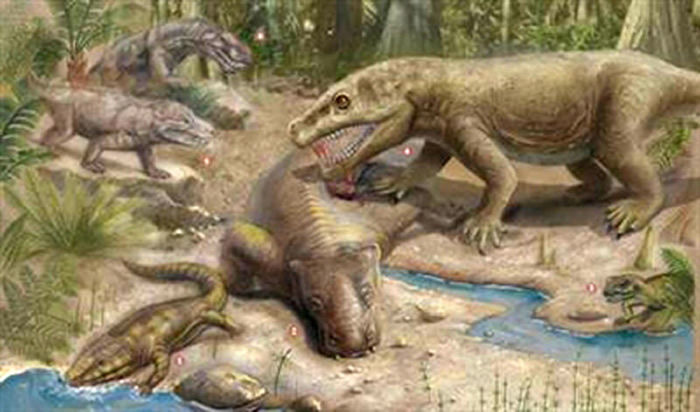 �����ͳ���Ȯ�����ݵ�������ҧɱ��ʳ����ֲʳ�����࣬Ȼ�������߶��ڶ�����ĩ�����������������Ф�ϣ�