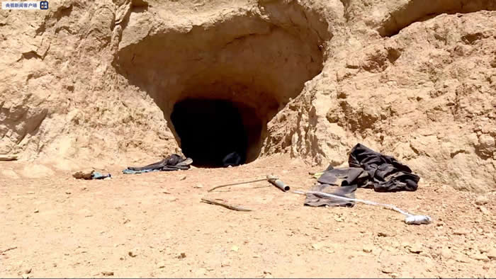 府谷县召开加强古生物化石资源保护促进生态环境健康发展座谈会