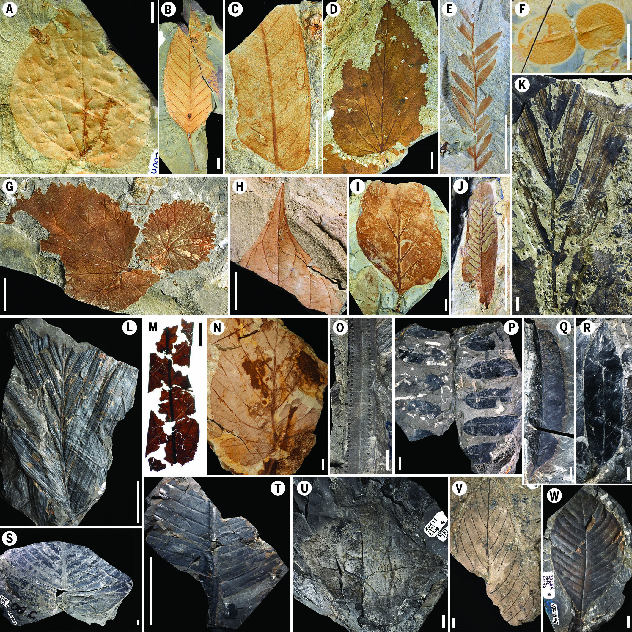 ִȴֵԴ׷ݵѼĩڵСײ