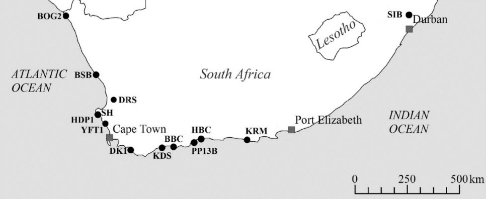 ���Ϸ��غ��ش����ֵĺ����Ļ��ż��Ĺ�������ַȺ��Manuel Will et al., 2015��