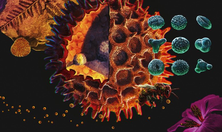 6600����ǰ���¿�������ľ���С�������������ִ��ȴ����ֵģ�