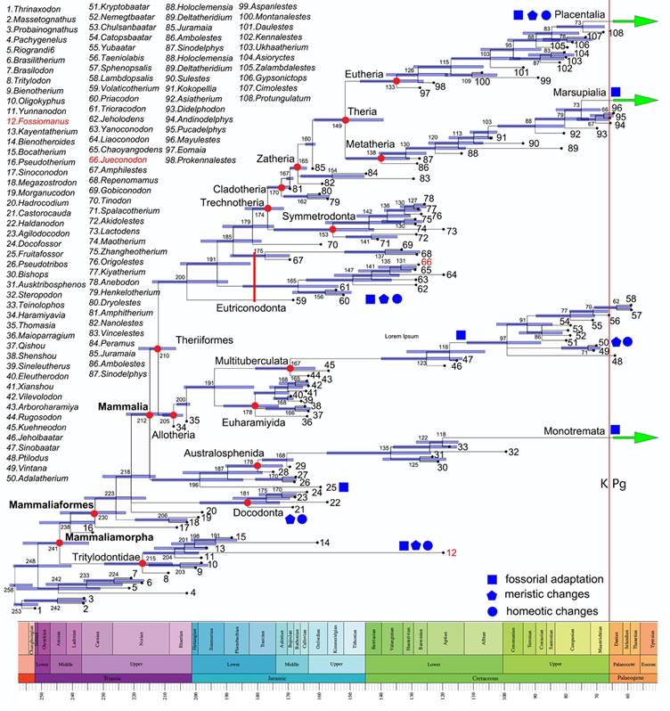 ������ϵͳ������ܼ���Ҫ��Ⱥ�ķ���ʱ�䣨�ų۷�����