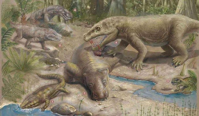 以植物为食的钜颊龙是剑齿虎的猎物。这两个种群都在二叠纪末期的“大灭绝事件”中灭绝消失