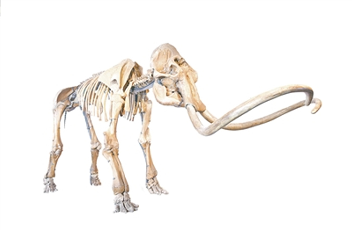 ��������ʯ�Ǽ�