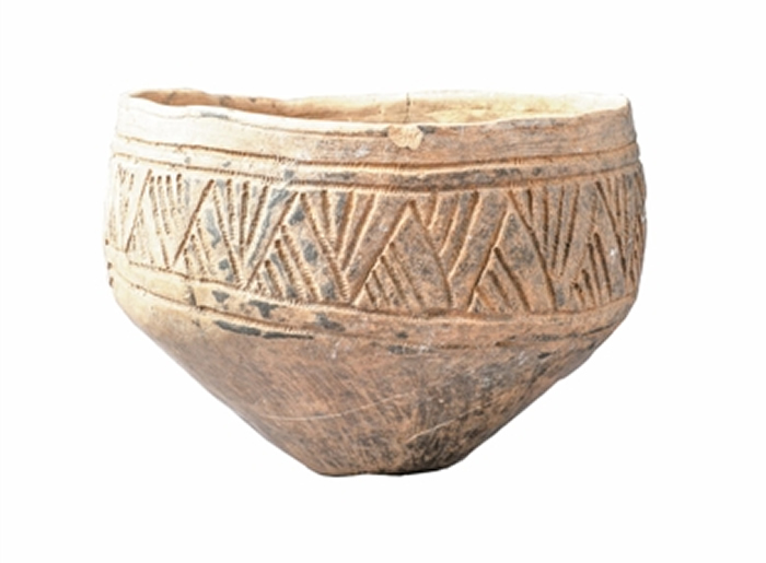 �������۸��ղ�