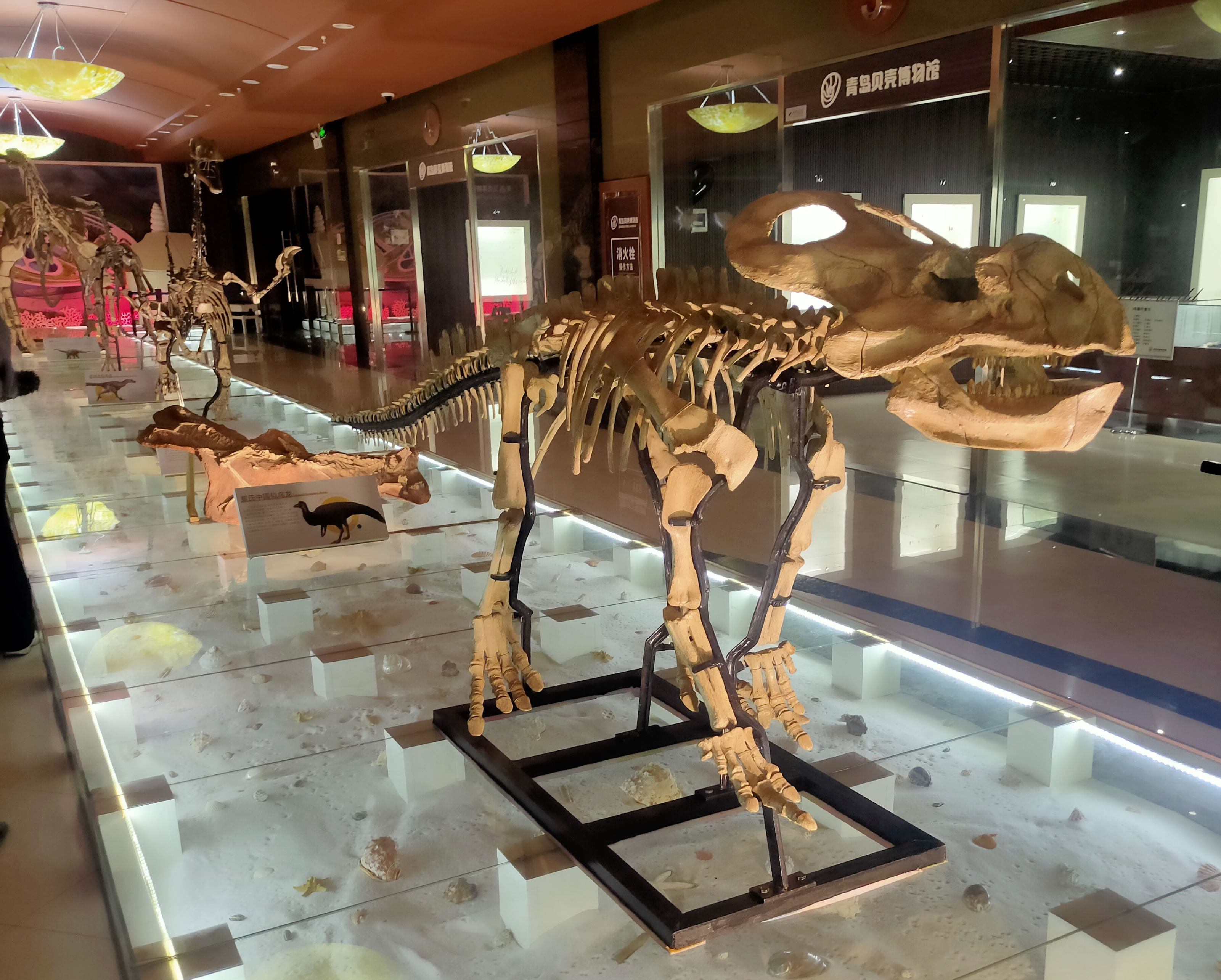 �ൺ���ǲ���ݾٰ조�����������͡�������Ĺ������ӿ�����չ��