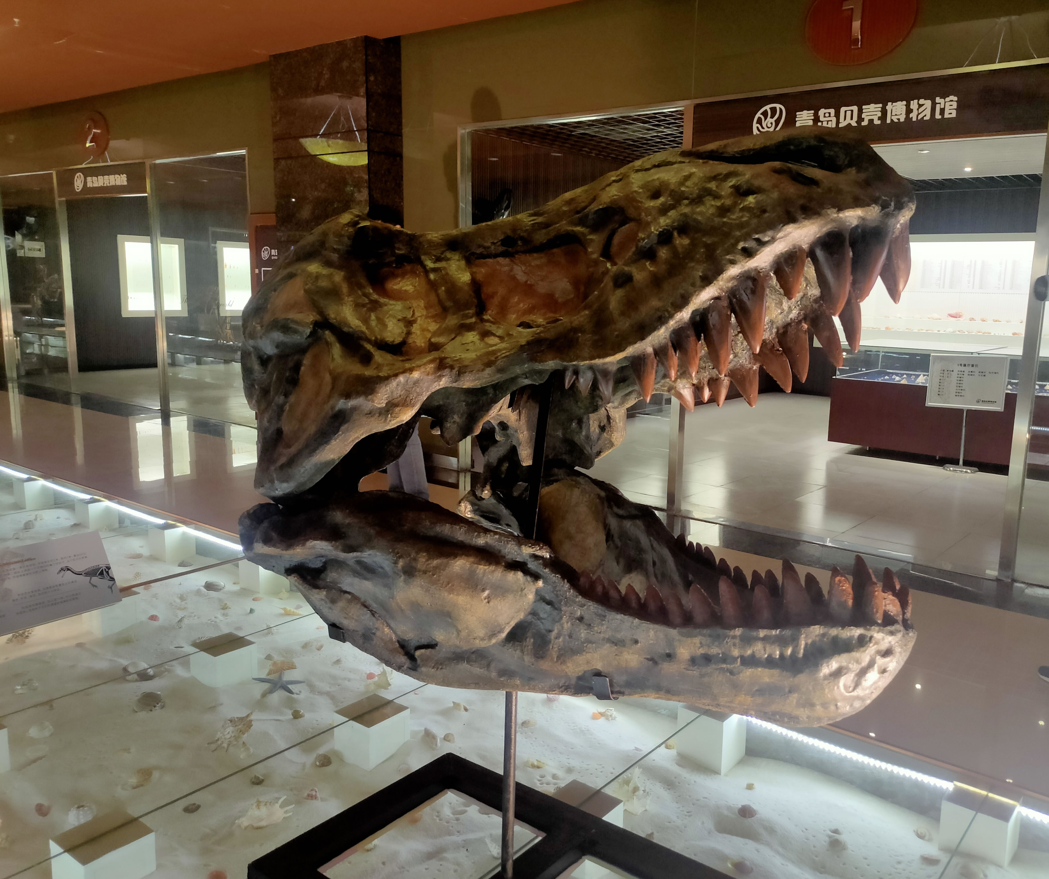 �ൺ���ǲ���ݾٰ조�����������͡�������Ĺ������ӿ�����չ��