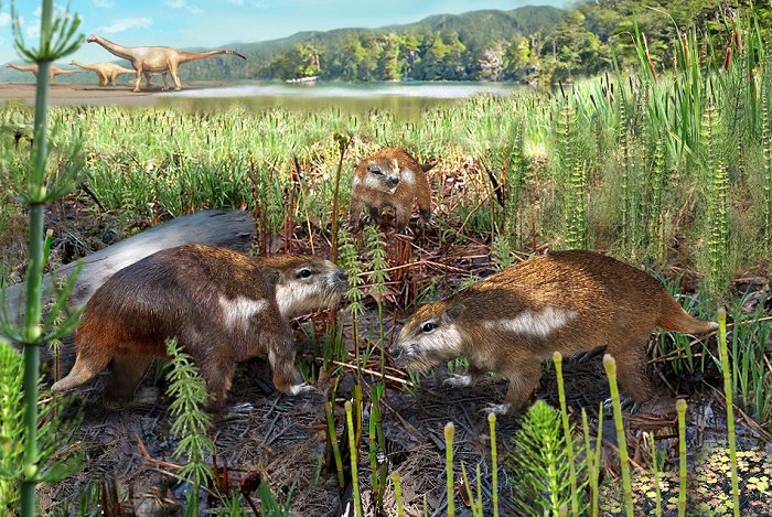 �������������ǵ������������ڰ��Ѽ�ʱ�ڵ����Ͳ��鶯��Orretherium tzen