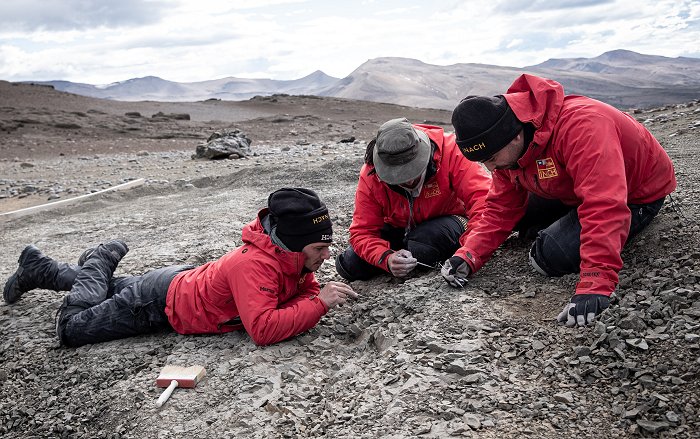 �������������ǵ������������ڰ��Ѽ�ʱ�ڵ����Ͳ��鶯��Orretherium tzen