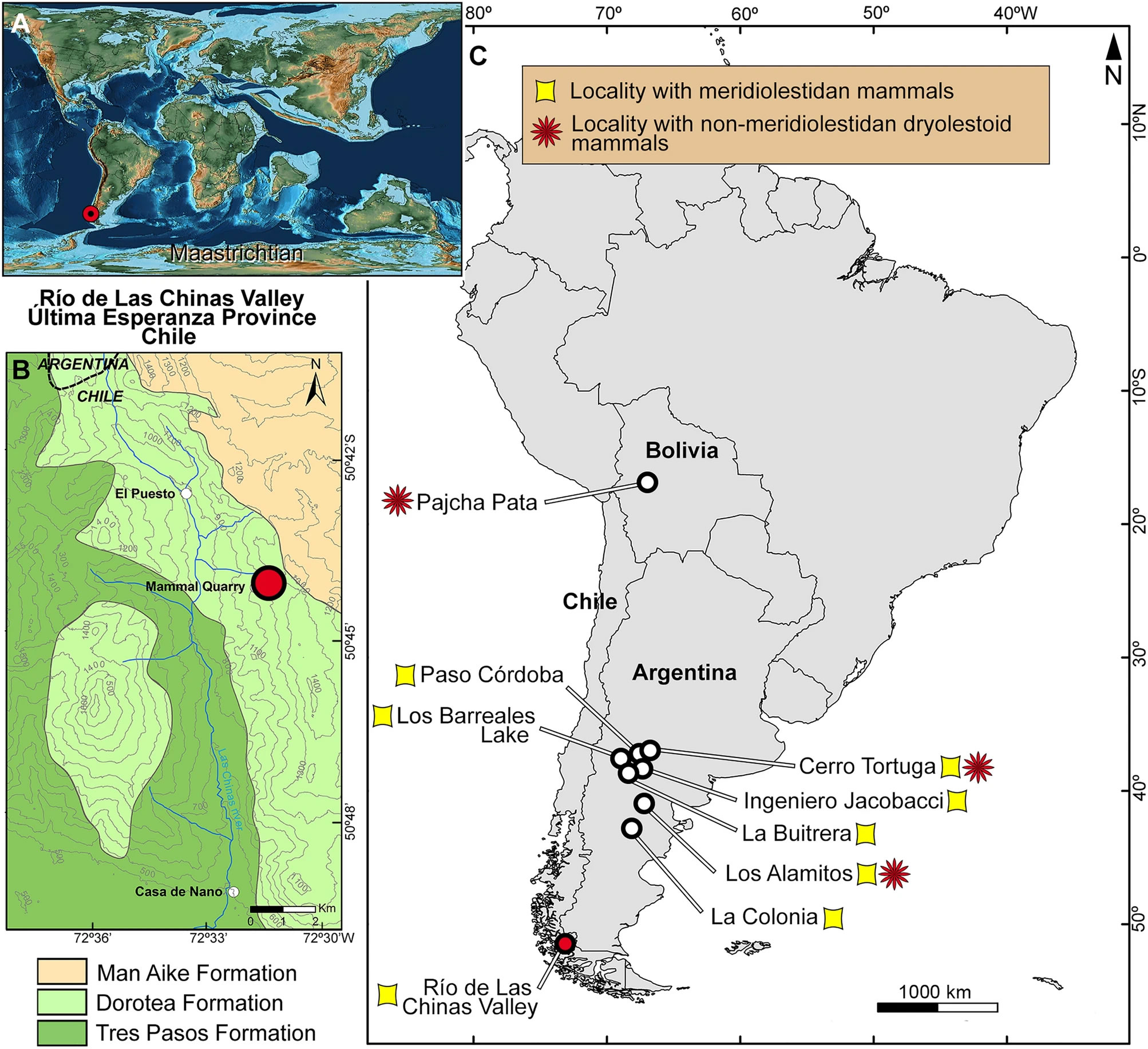 �������������ǵ������������ڰ��Ѽ�ʱ�ڵ����Ͳ��鶯��Orretherium tzen