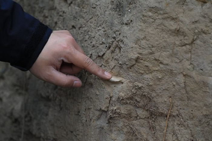 ֣������������ַ���־��3������5����ǰ��ɽ��´�����෢չ����