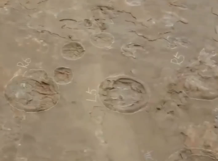 �����Ϻ�������巢�֡�������ء���200��ö�㼣����һ��