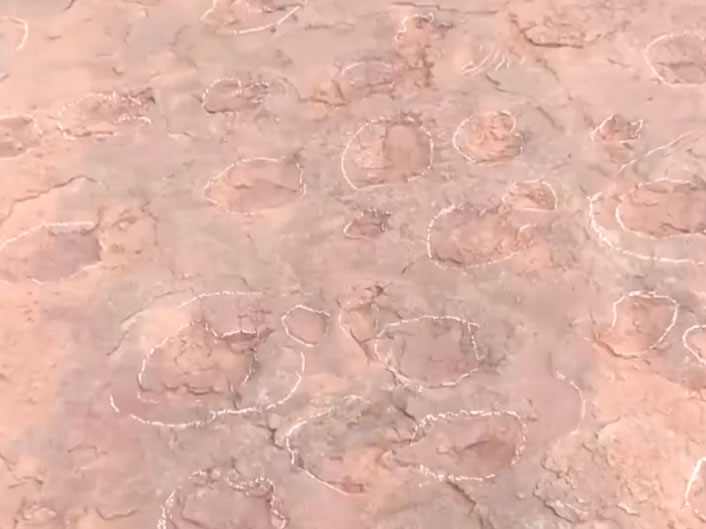 �����Ϻ�������巢�֡�������ء���200��ö�㼣����һ��