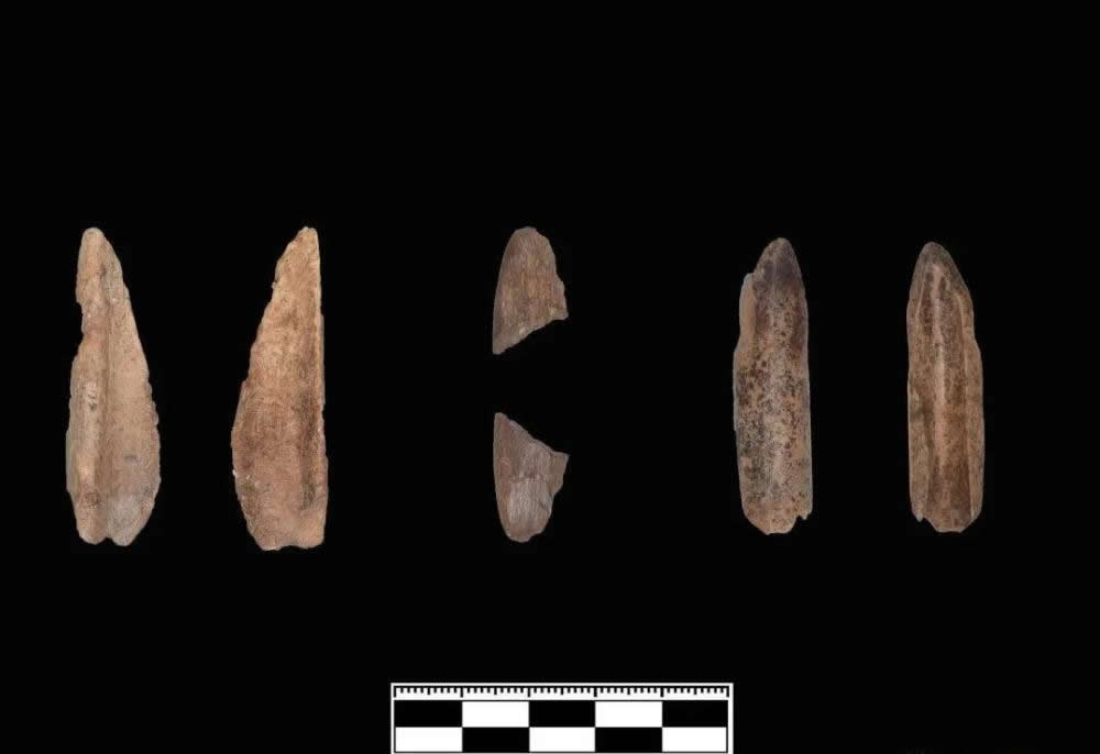 4����ǰ���ݹ������й�����ַ��ѡ��2020���ȫ��ʮ�󿼹��·��֡�